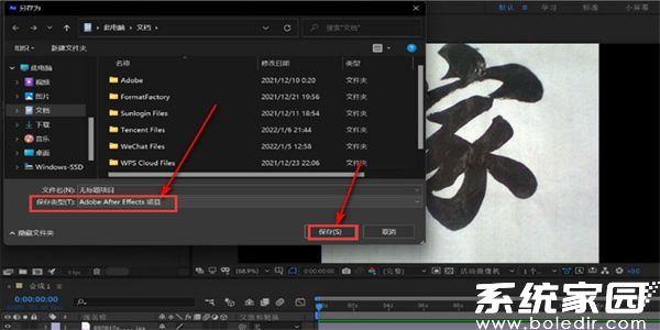 AE文件格式选择界面