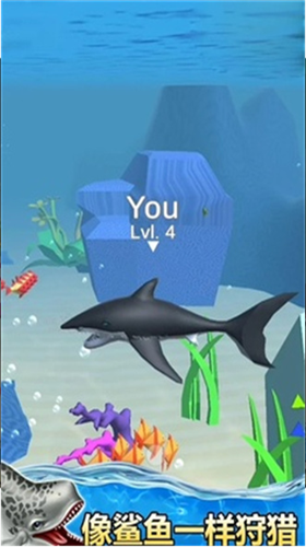 u6d77u6d0bu4e16u754cu6a21u62dfu5668u53bbu5e7fu544au514du8d39u7248