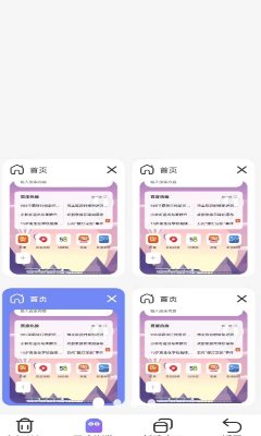 全速浏览器主界面展示