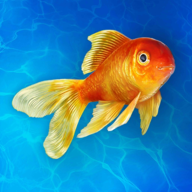 海洋水族馆模拟建造游戏v0.163 无限钞票版
