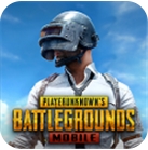 PUBG国际服安卓版下载v3.3.0 无限点券版