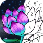 **数字填色艺术创作轻松解压**v4.27.0 无限提示版